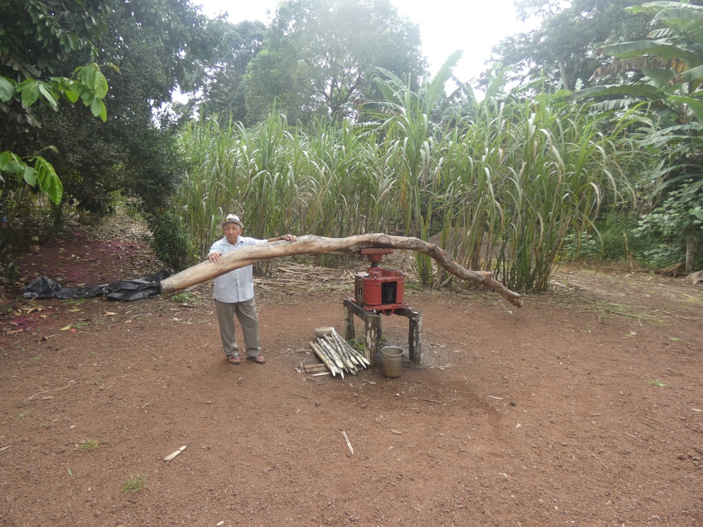 manual sugar cane crusher